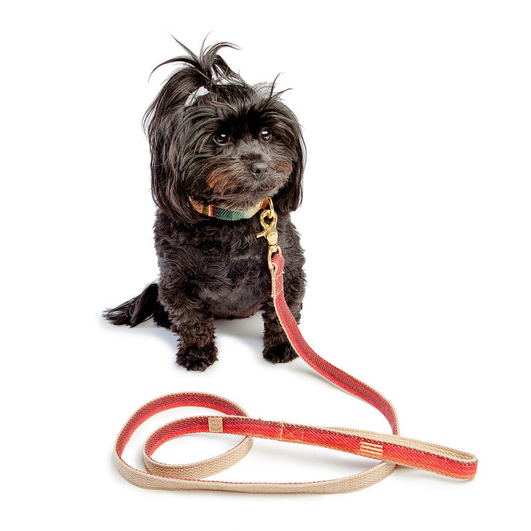 FINNEGAN'S STANDARD GOODS | Sunset Collar Collar Finnegan's Standard Goods   