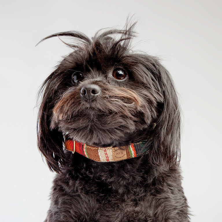 FINNEGAN'S STANDARD GOODS | Sunset Collar Collar Finnegan's Standard Goods   
