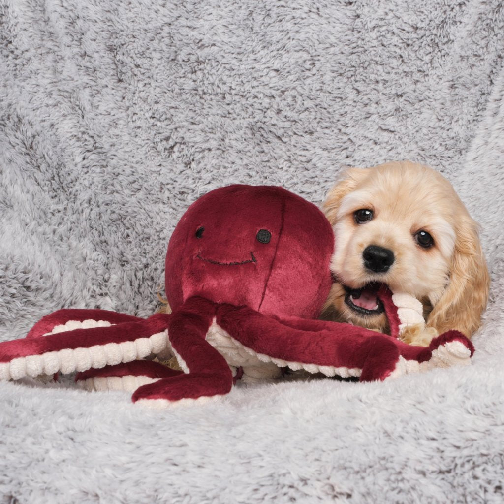 Olympia Octopus Plush Dog Toy Play FLUFF & TUFF   
