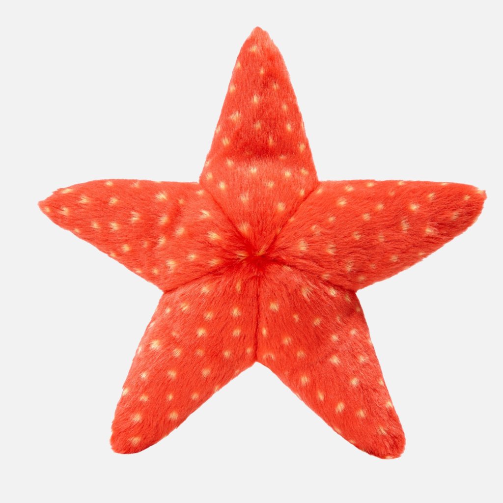 Ziggy Starfish Plush Dog Toy << FINAL SALE >> Play FLUFF & TUFF   