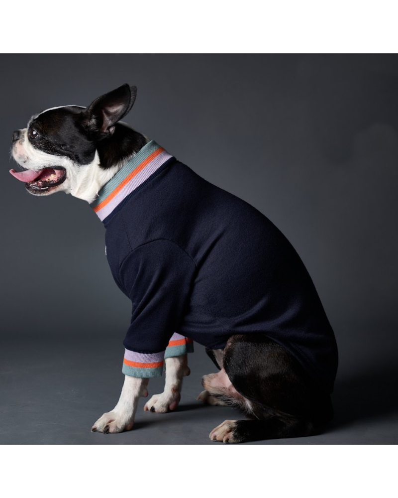 Lakewood Navy Pullover Dog Sweater With Striped Neckline & Cuffs (CLEARANCE) Wear THE STRIPED DOG   