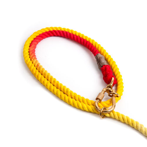 FOUND MY ANIMAL | Adjustable Rope Lead in Prismatic Leash FOUND MY ANIMAL   