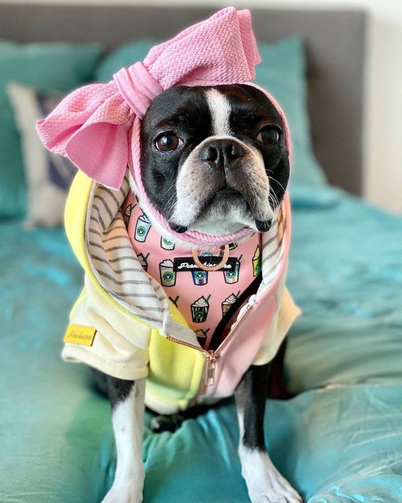 Dog Hoodie in Banana Split Wear FRENCHIESTORE   
