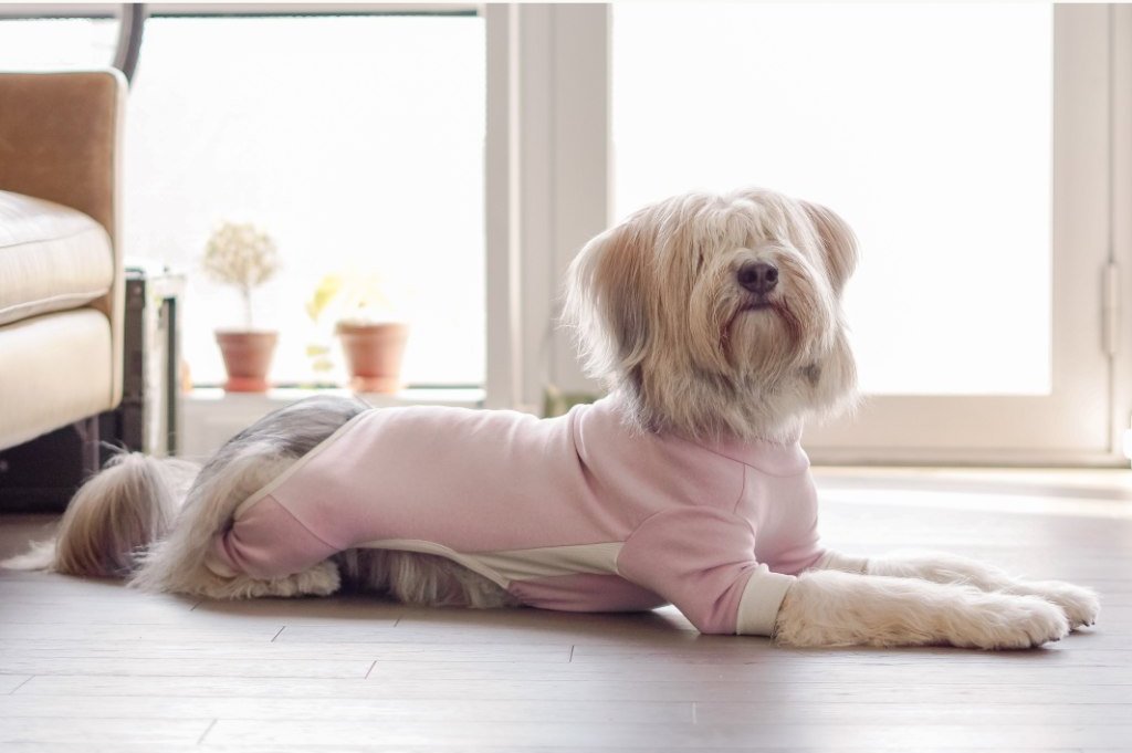 THE FURRYFOLKS | High Neck Jumpsuit in Blush Apparel THE FURRY FOLKS   