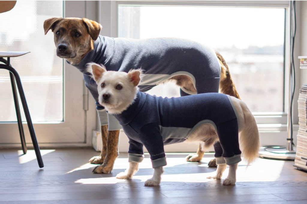 THE FURRYFOLKS | High Neck Jumpsuit in Navy Apparel THE FURRY FOLKS   