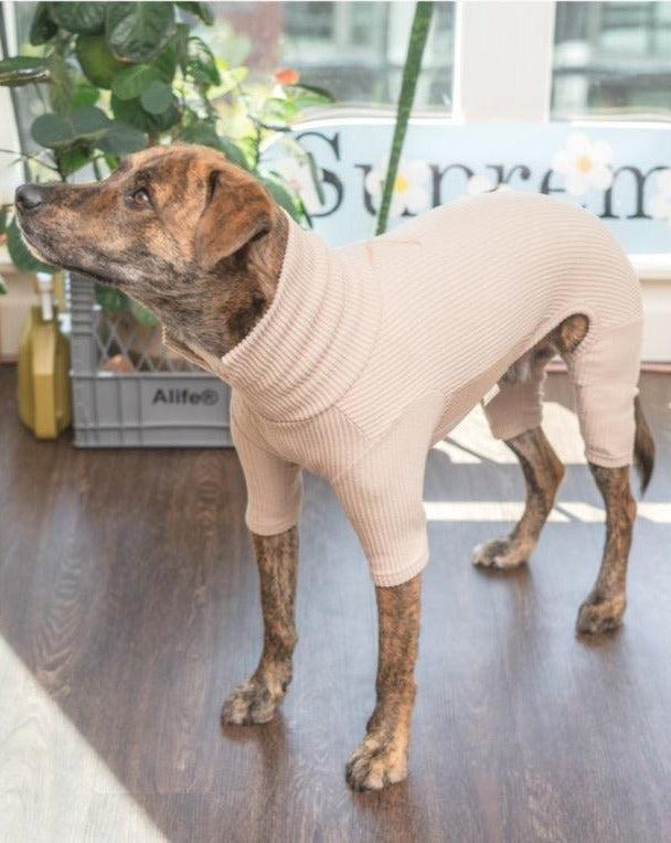 High V-Neck Dog Jumpsuit in Soft Beige Wear THE FURRY FOLKS   