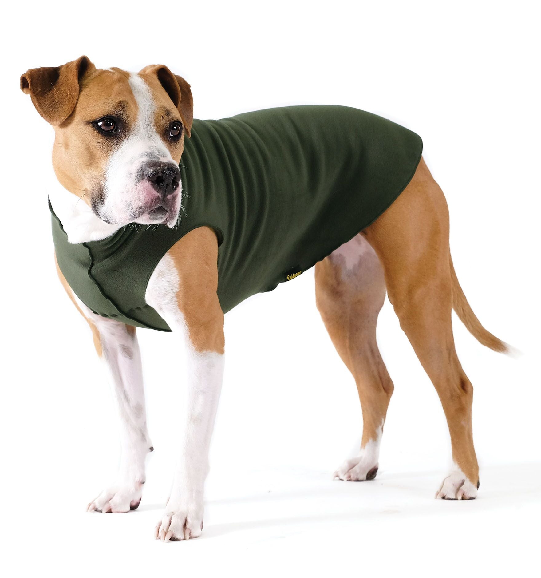 Gold paw fleece sale deals