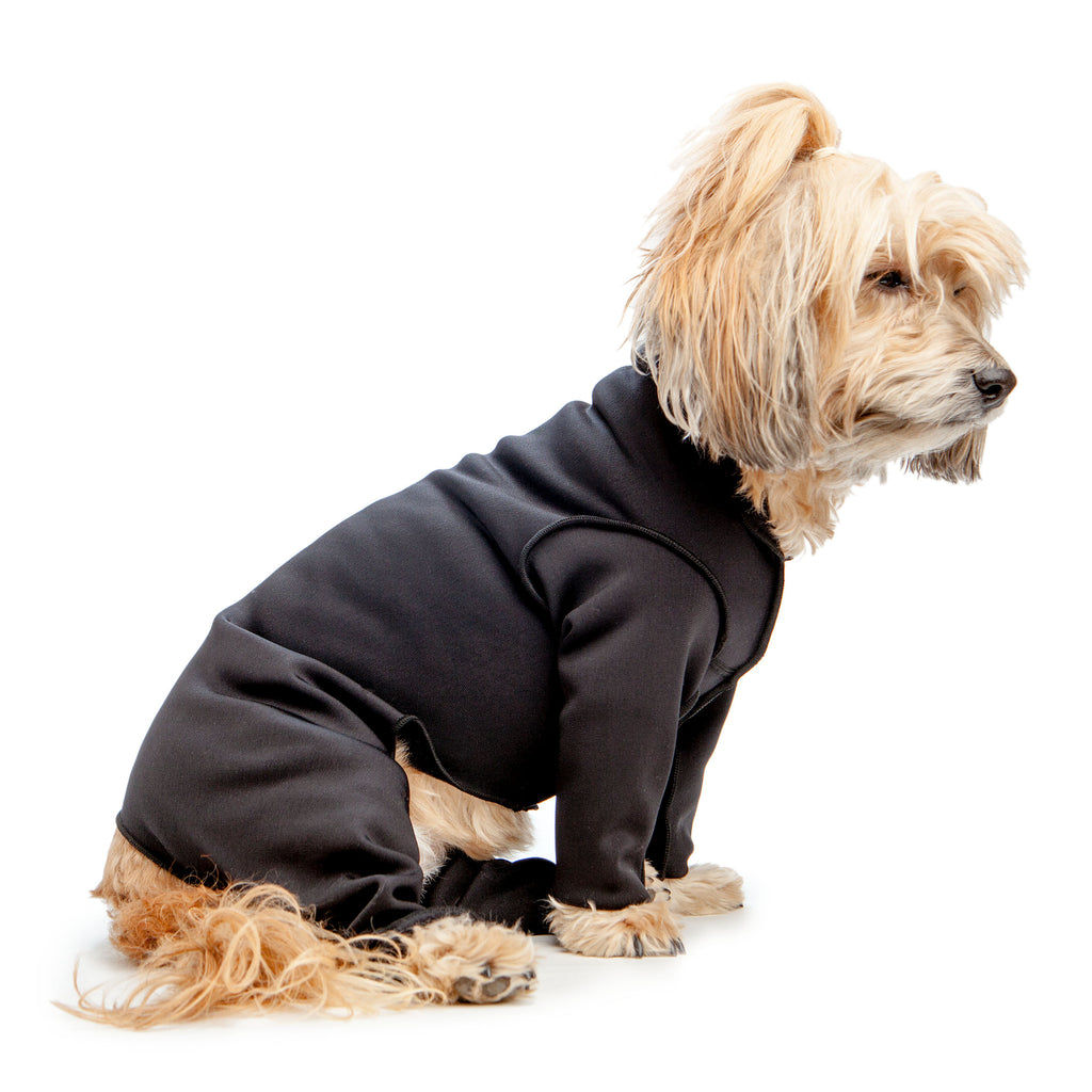 DOG & CO. Stretch Onesie in Water Resistant Black (FINAL SALE) Wear GOLD PAW   