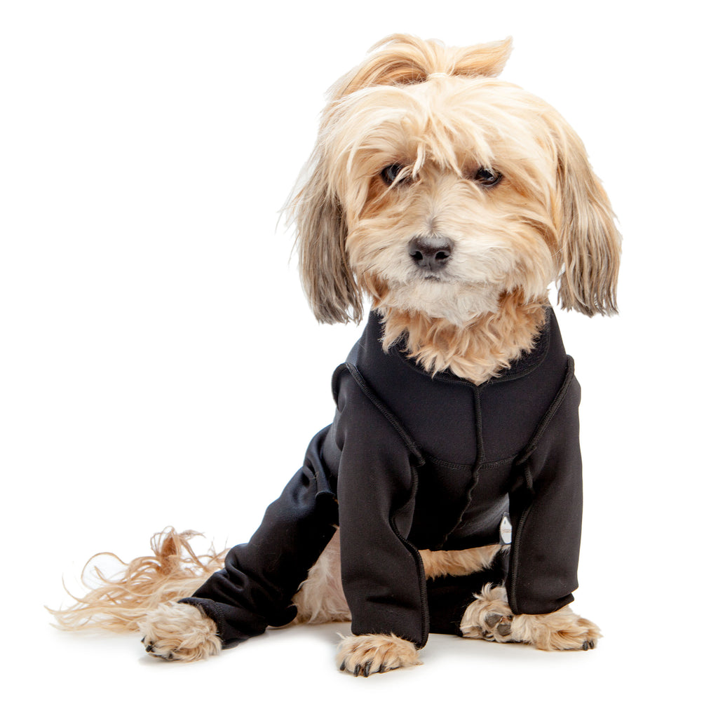 DOG & CO. Stretch Onesie in Water Resistant Black (FINAL SALE) Wear GOLD PAW   