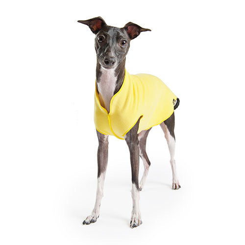 GOLD PAW | Stretch Fleece in Sunflower Yellow Apparel GOLD PAW   