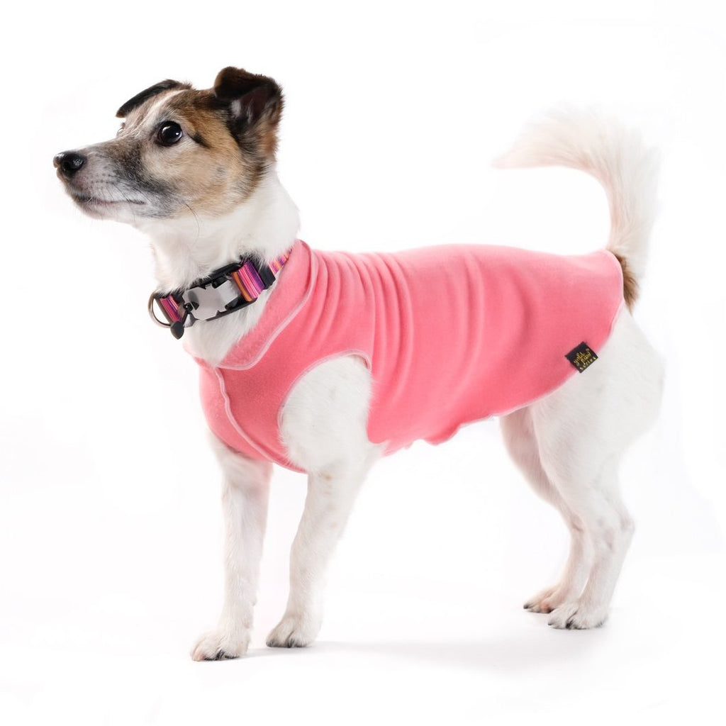 Stretch Fleece in Coral (FINAL SALE) Wear GOLD PAW   