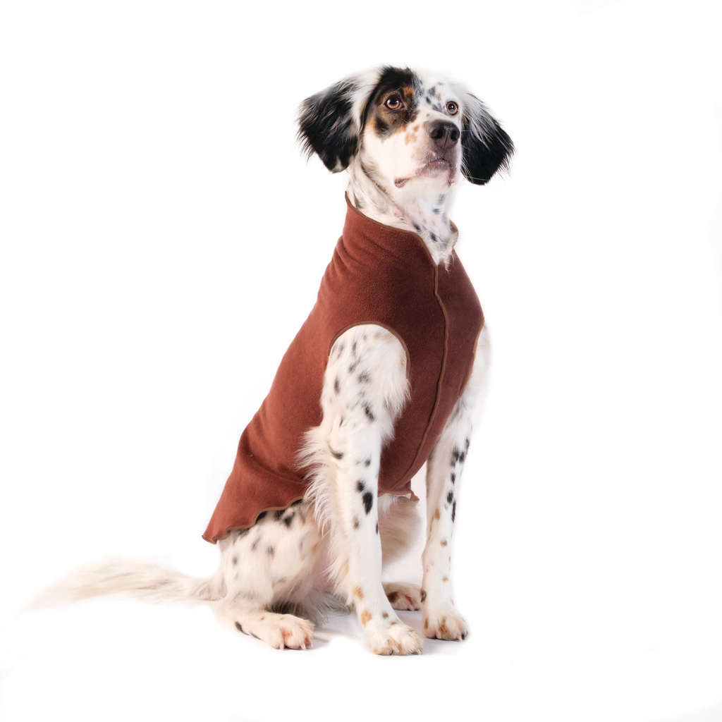 Gold paw fleece deals sale
