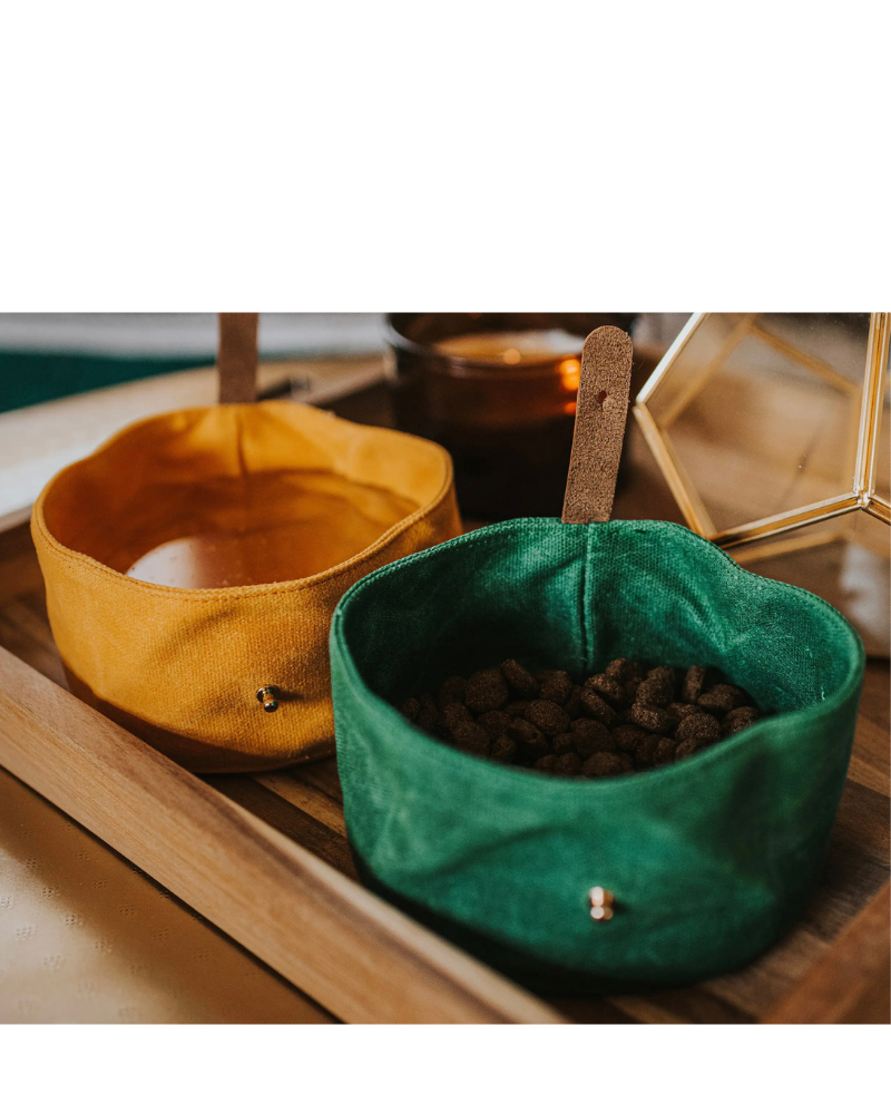 Waxed Canvas and Vegan Leather Dog Travel Bowl in Green<br>(FINAL SALE) Eat FOXMOTH   