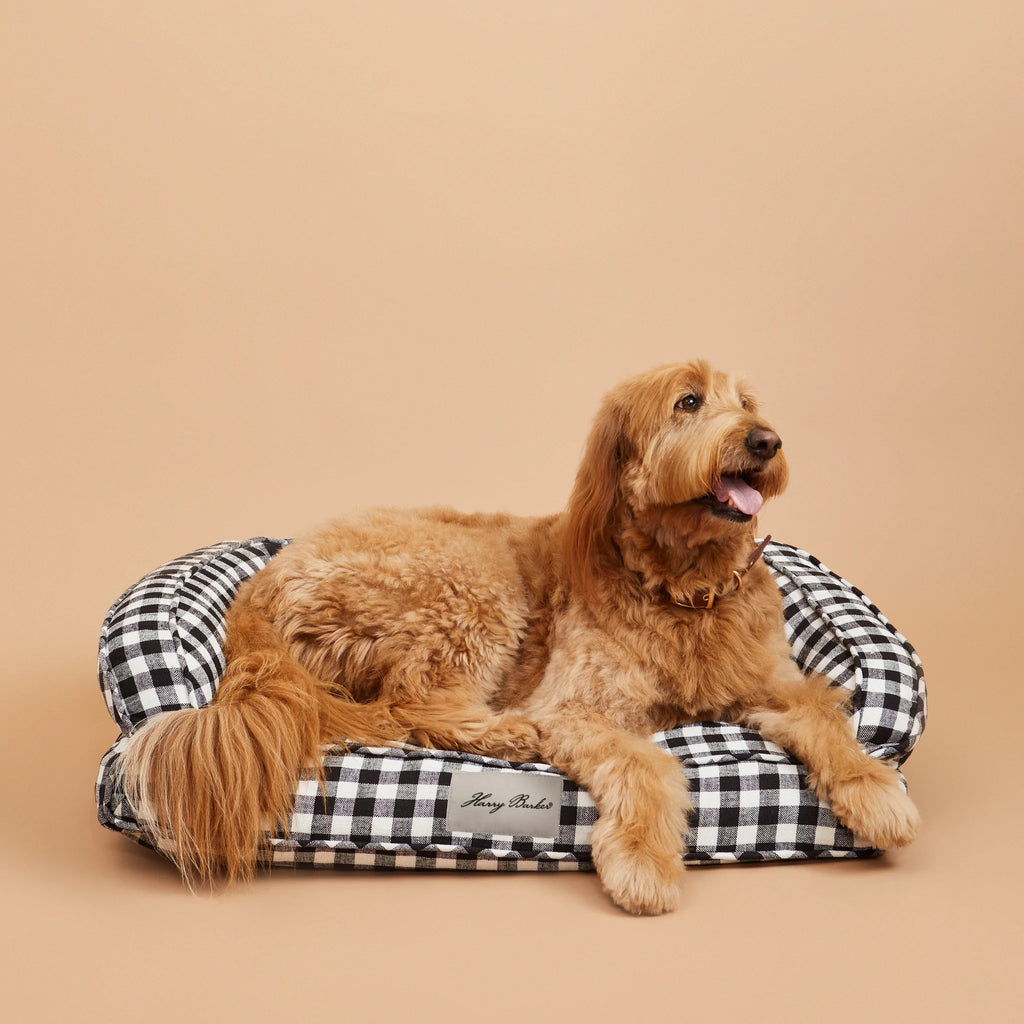 Ortho-Lounger Dog Bed (Direct-Ship) HOME HARRY BARKER   