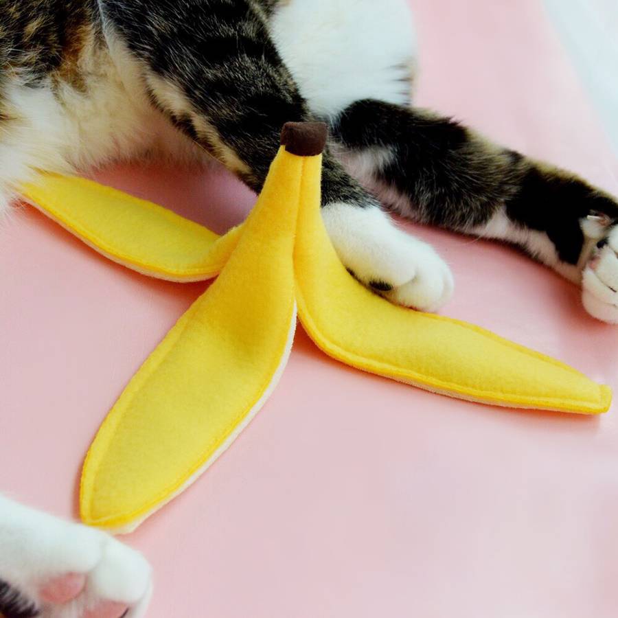 Banana peel cat shop