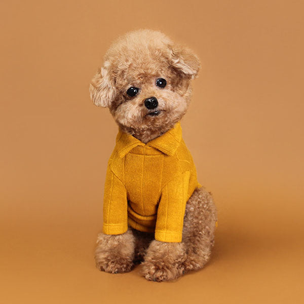 HUTS & BAY | Knit Collar Shirt in Mustard Apparel HUTS & BAY   