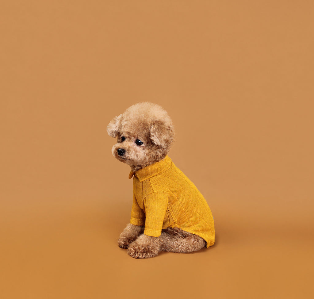 HUTS & BAY | Knit Collar Shirt in Mustard Apparel HUTS & BAY   