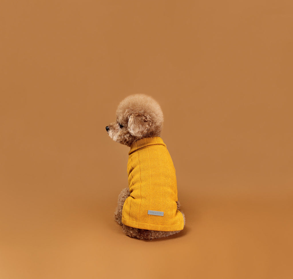 HUTS & BAY | Knit Collar Shirt in Mustard Apparel HUTS & BAY   
