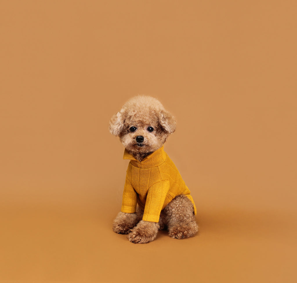 HUTS & BAY | Knit Collar Shirt in Mustard Apparel HUTS & BAY   