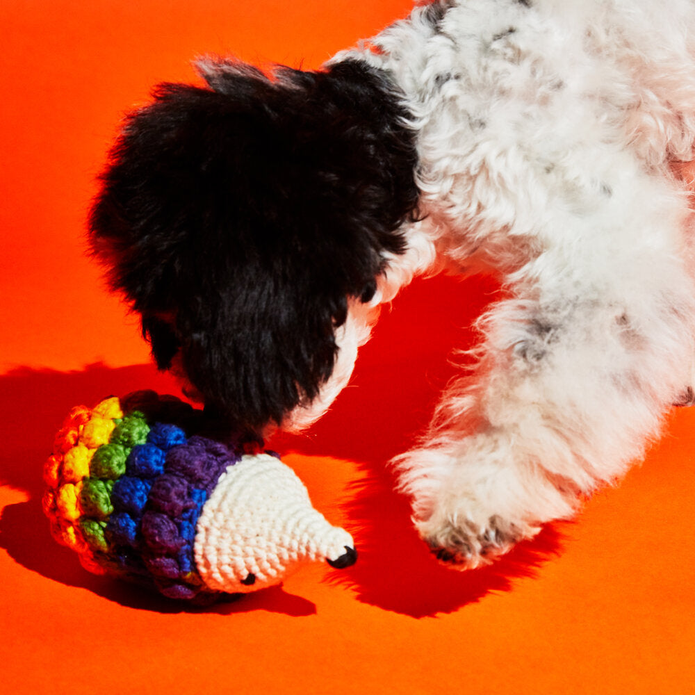 Hand Crochet Hedgehog Toy Play WARE OF THE DOG   