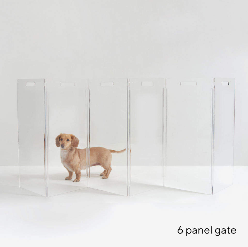 Clear Acrylic Dog Crate & Gate for Small Dogs | Wunderpets / Brass