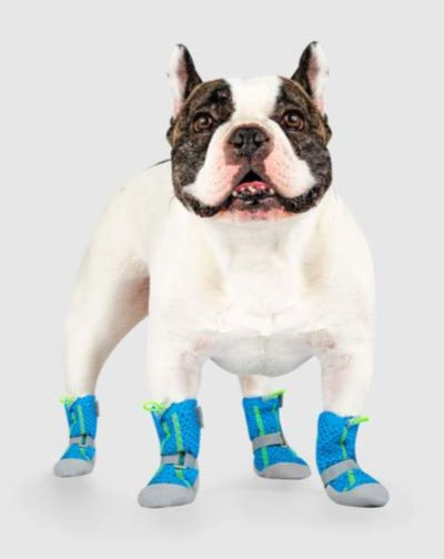 Hot Pavement Dog Boots in Blue and Green << CLEARANCE >> Wear CANADA POOCH   