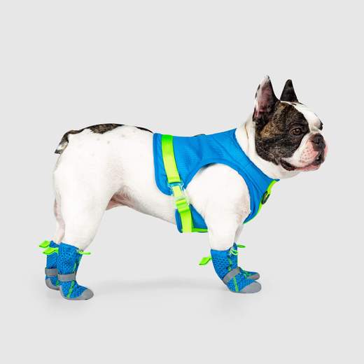 Hot Pavement Dog Boots in Blue and Green << CLEARANCE >> Wear CANADA POOCH   