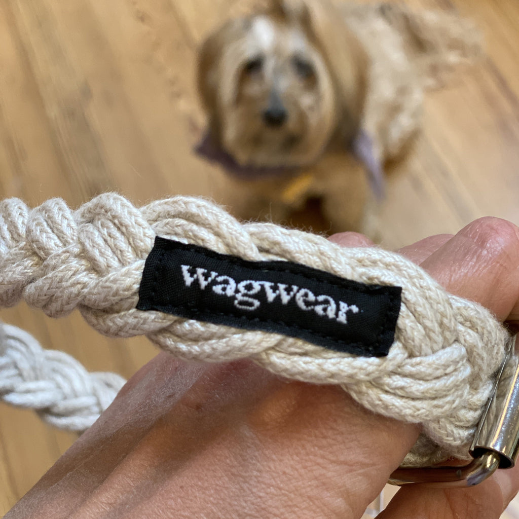 Braided Fisherman Dog Collar in Off-White (Made in the USA) WALK WAGWEAR   