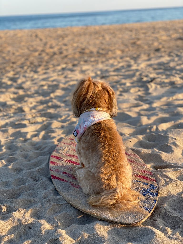 The Hamptons Tie-Dye Bandana<br>(Made in the USA) Wear DOG & CO.   