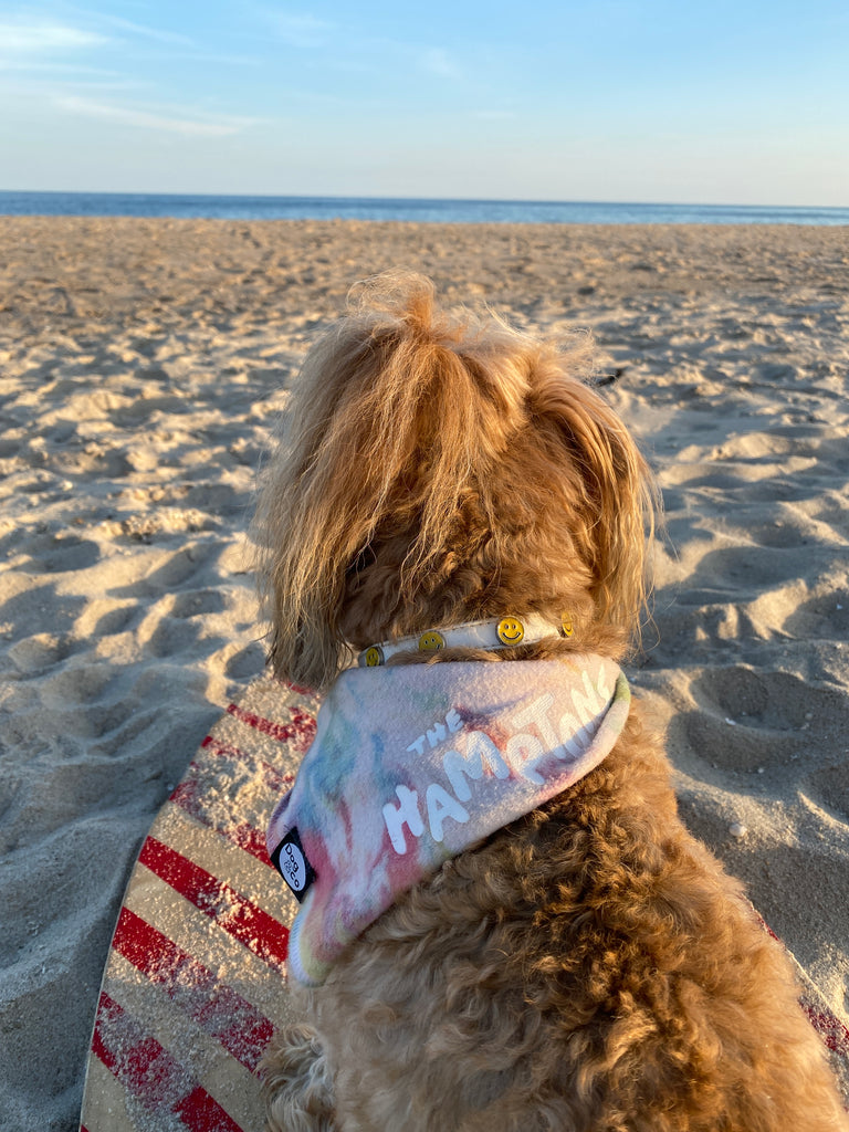 The Hamptons Tie-Dye Bandana<br>(Made in the USA) Wear DOG & CO.   