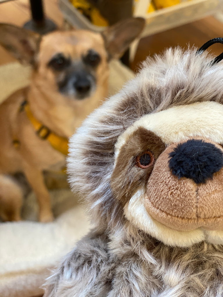 Tico the Sloth Squeaky Plush Dog Toy Play FLUFF & TUFF   