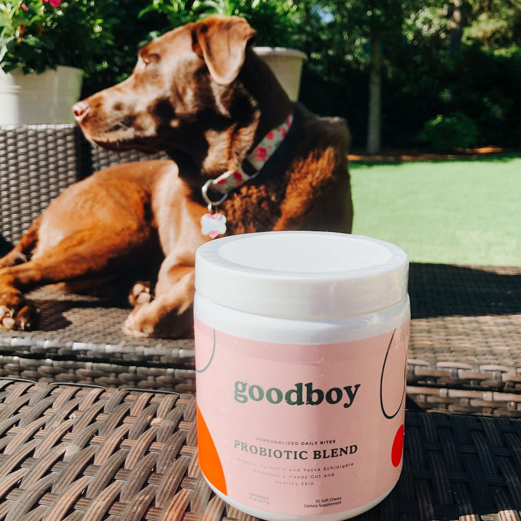 Daily Probiotic Blend Bites for Dogs Eat GOODBOY   