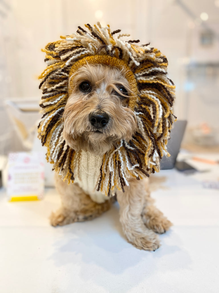 Lion Hand-Knit Dog Sweater (DOG & CO. Exclusive) (FINAL SALE) Wear PERUVIAN KNITS   