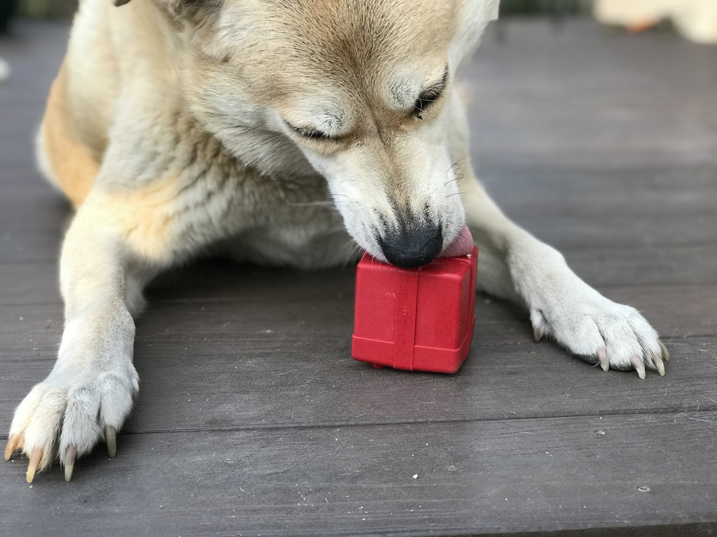 SodaPup Can Chew Toy Small / Orange