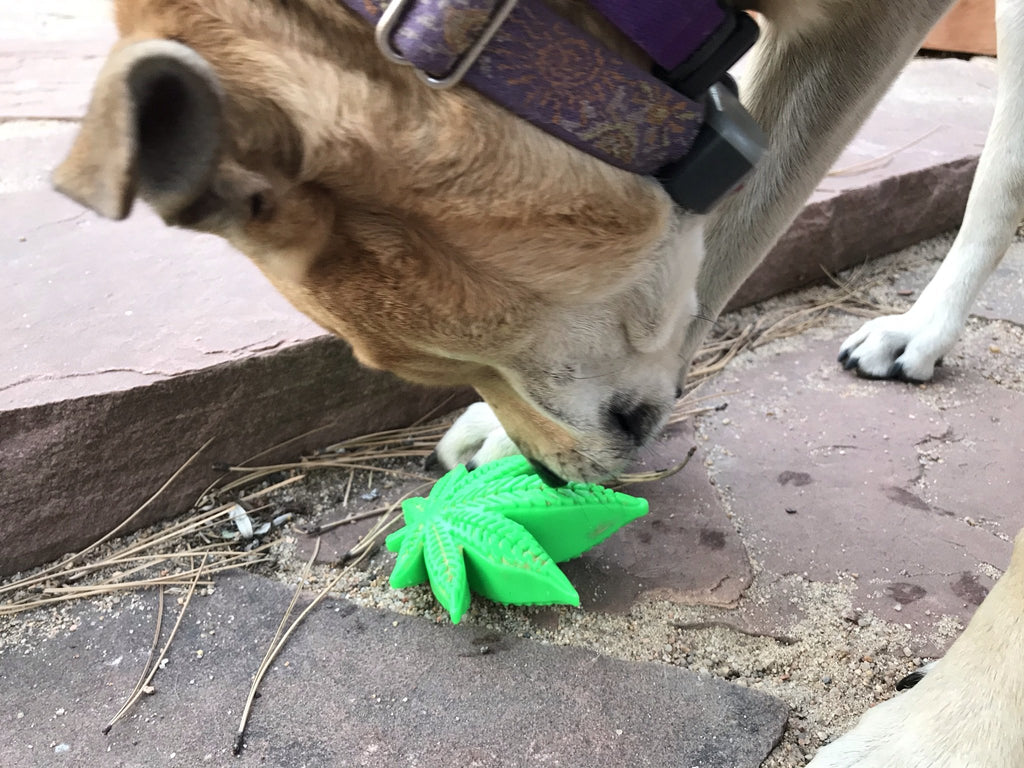 Happy Leaf Durable Nylon Dog Toy (Made in the USA) Play SODA PUP   