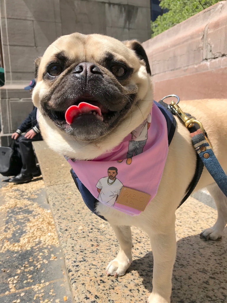 PABLO & CO. | Hotline Bling Bandana Accessories PABLO & CO.   
