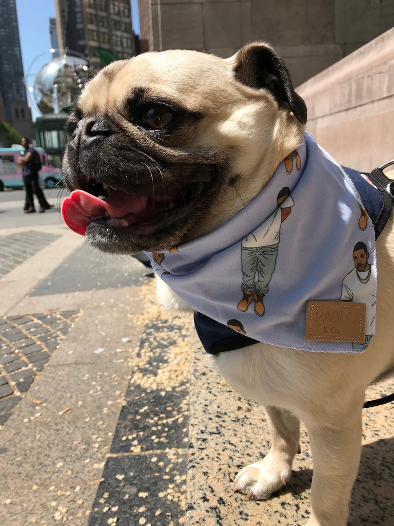PABLO & CO. | Drizzy Bandana Accessories PABLO & CO.   