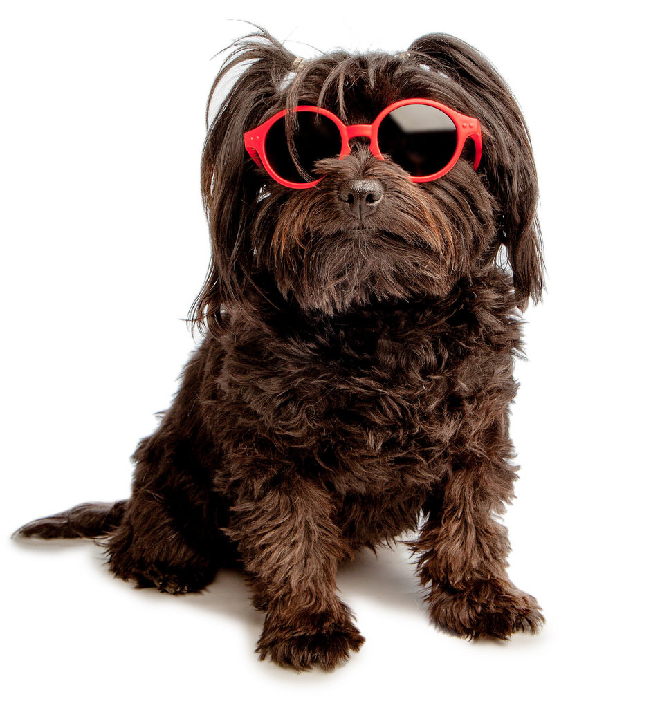 IZIPIZI | Sunglasses in Red Accessories IZIPIZI   