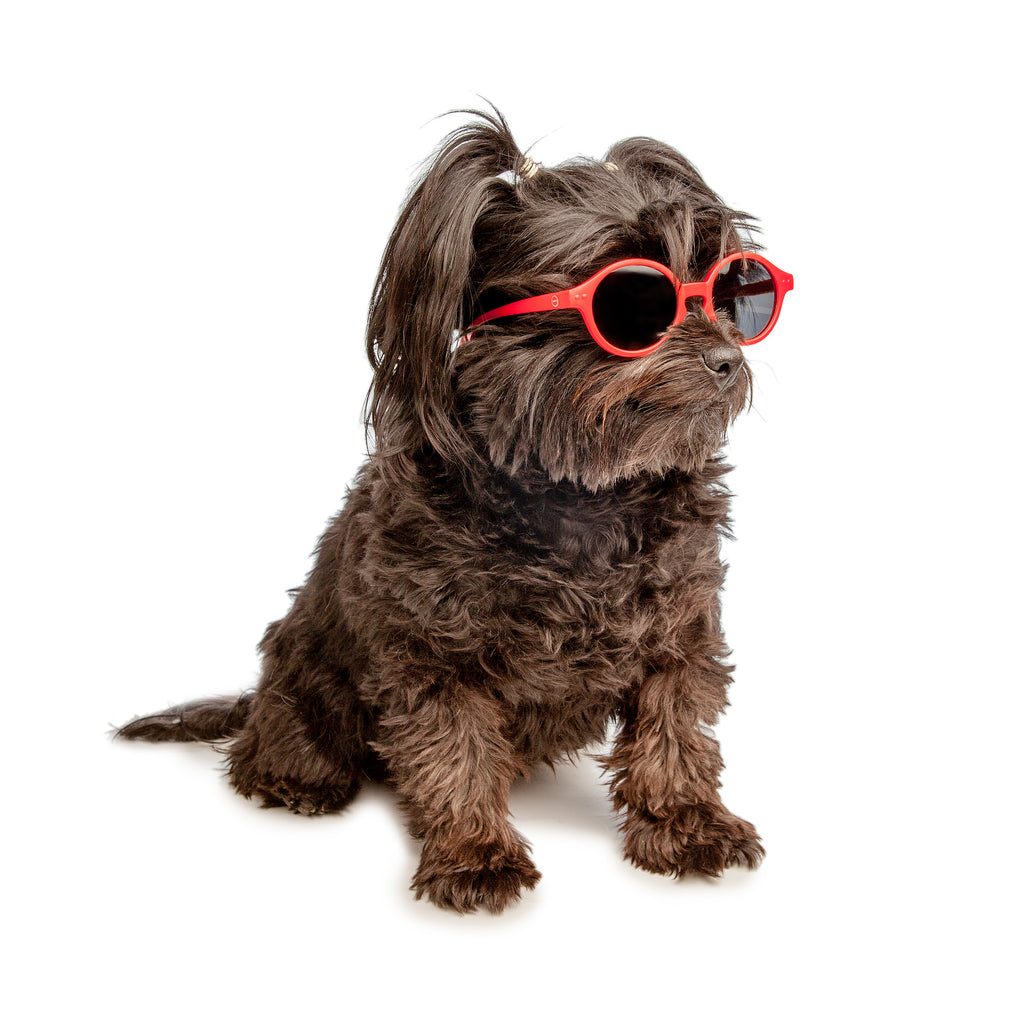 IZIPIZI | Sunglasses in Red Accessories IZIPIZI   