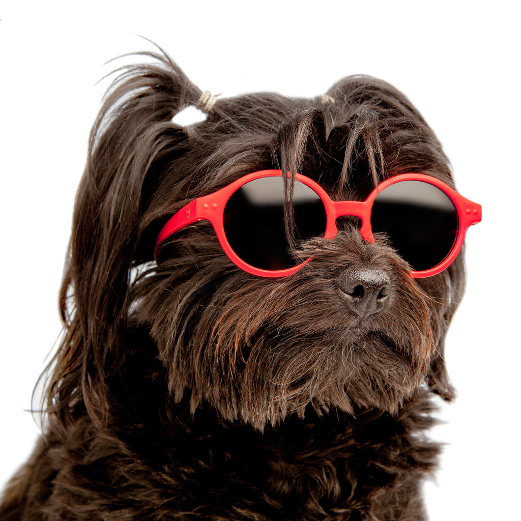 IZIPIZI | Sunglasses in Red Accessories IZIPIZI   