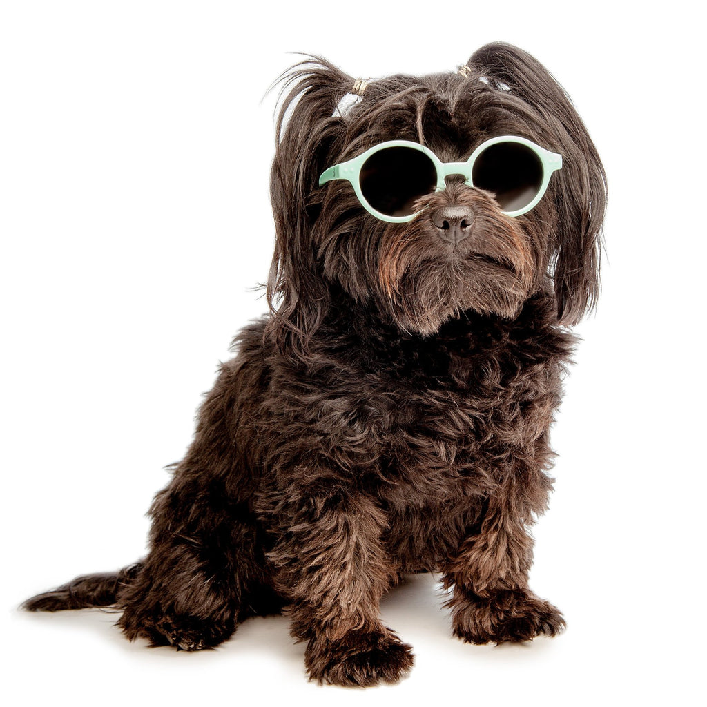 Baby Sunglasses in Milk White << FINAL SALE >> Wear IZIPIZI   