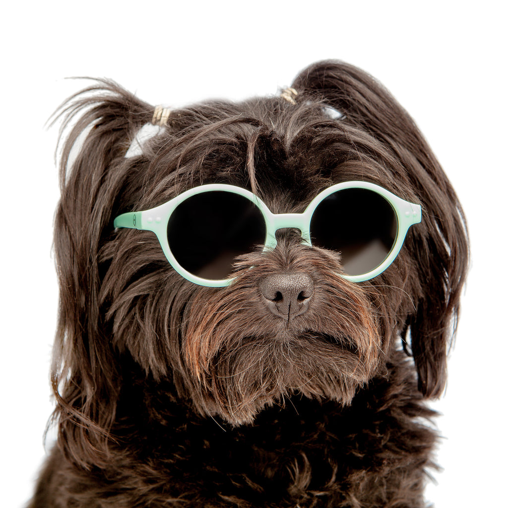 Baby Sunglasses in Milk White << FINAL SALE >> Wear IZIPIZI   