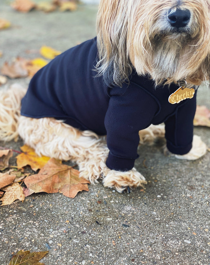 Long-Sleeve Pullover Stretch Dog Fleece in Black (Made in the USA, Dog & Co. Exclusive!) Wear DOG & CO. COLLECTION   