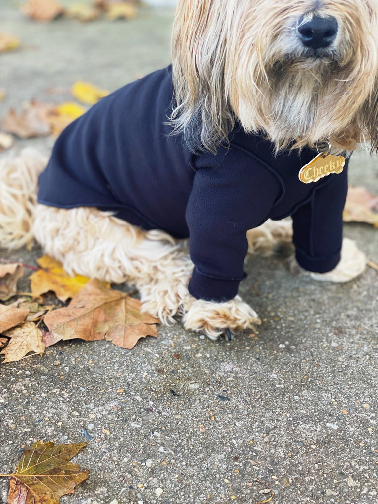 Long-Sleeve Pullover Stretch Dog Fleece in Black (Made in the USA, Dog & Co. Exclusive!) Wear DOG & CO. COLLECTION   