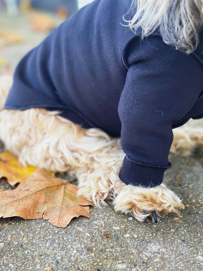 Long-Sleeve Pullover Stretch Dog Fleece in Black (Made in the USA, Dog & Co. Exclusive!) Wear DOG & CO. COLLECTION   