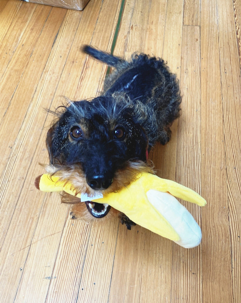 Crinkly Banana Dog Toy Dog Toys HOWLPOT   