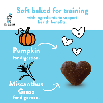 Pumpkin Nut Par-tay Soft Baked Upcycled Dog Treats << FINAL SALE >> Eat SHAMELESS PETS   