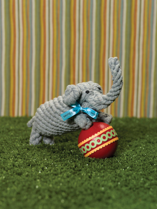 Coco the Elephant Rope Dog Toy Play JAX & BONES   