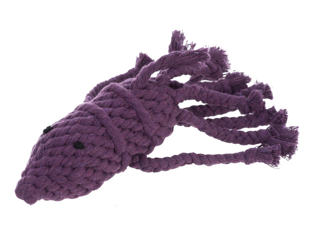 JAX & BONES | Squid Rope Toy Toys JAX & BONES   
