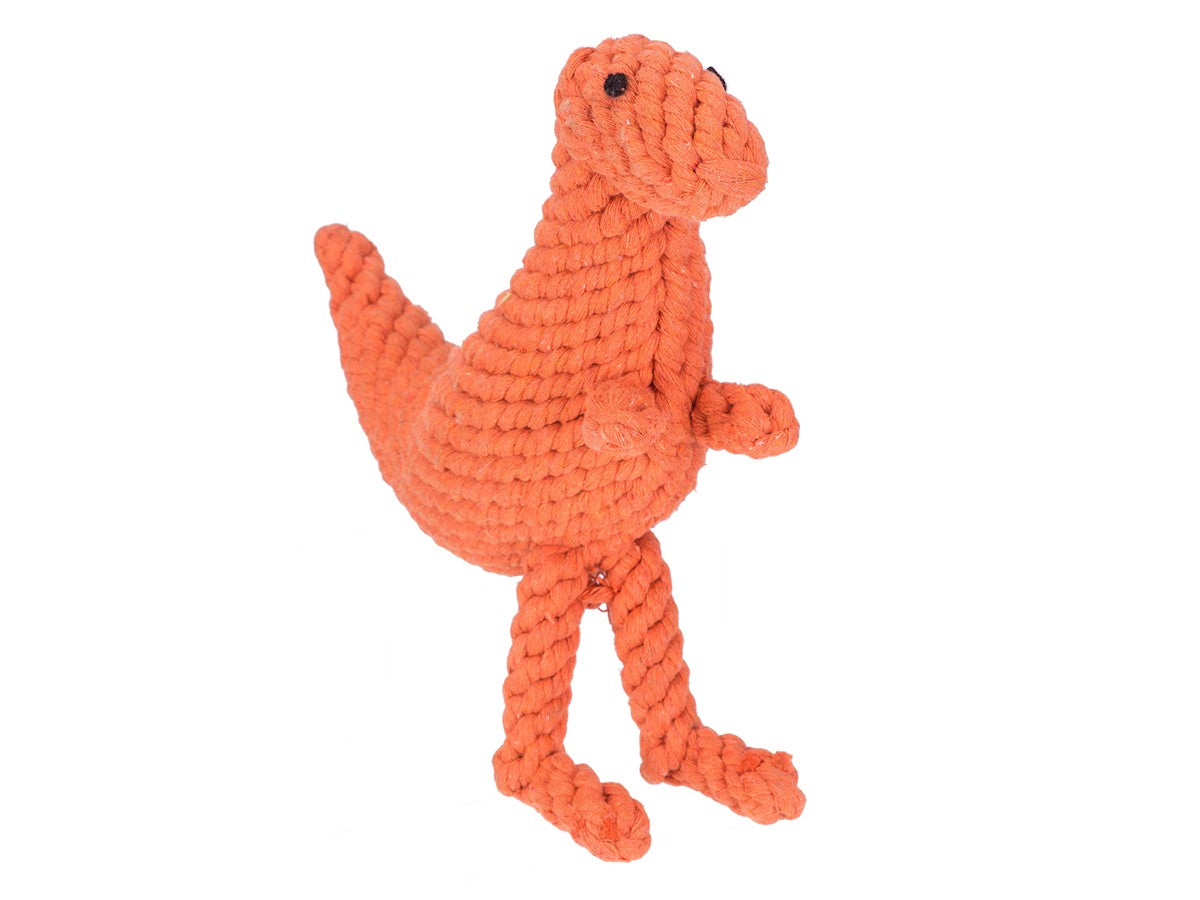 T Rex Rope Toy (FINAL SALE) | DOG & CO.